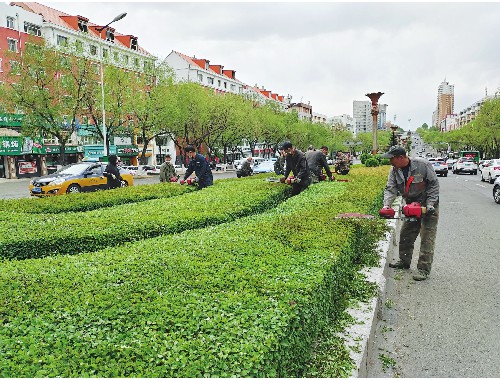 博鱼中国官网：东丽城市绿化带种植什么植物好