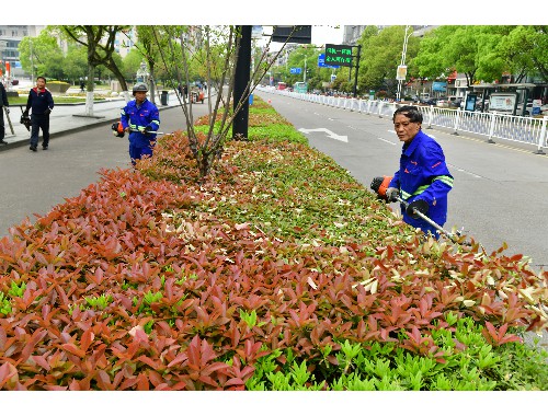 博鱼boyu官方网站：宿州市政绿化工程报价清单表格